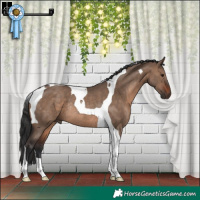 Horse Color:Brown Dun Tobiano Rabicano