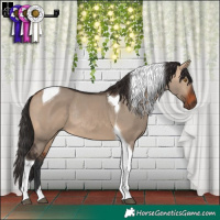 Horse Color:Brown Dun Tobiano Rabicano 