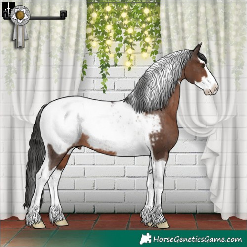 Horse Color:Liver Chestnut Splash Tobiano Snowcap Rabicano 