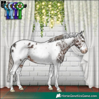 Horse Color:Liver Chestnut Sabino Splash Tobiano Frame Appaloosa Rabicano