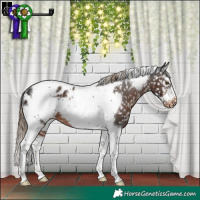 Horse Color:Liver Chestnut Sabino Splash Tobiano Frame Appaloosa Rabicano 