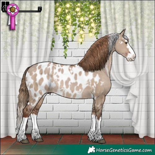 Horse Color:White Spotted Liver Red Dun Splash Appaloosa Rabicano 