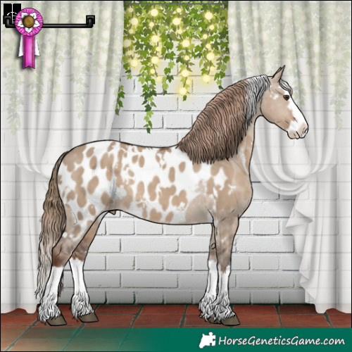 Horse Color:White Spotted Liver Red Dun Splash Blanket Rabicano 