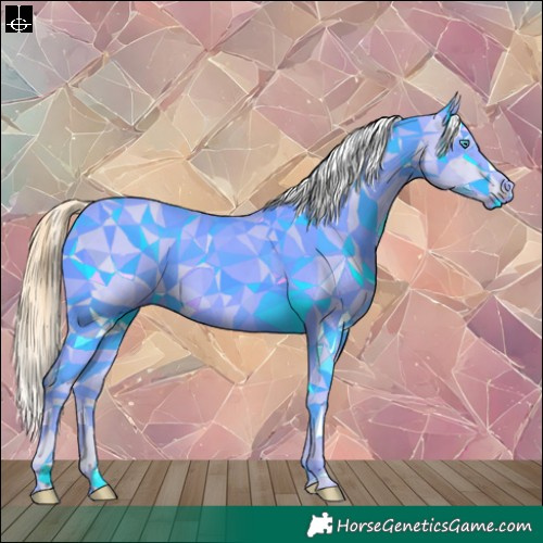 Horse Color:Gold Champagne Roan Dun Splash Tobiano Frame Leopard Rabicano
