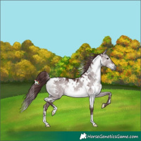 Horse Color:Platinum White Spotted Chocolate Brown Dun 