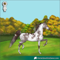 Horse Color:Platinum White Spotted Chocolate Brown Dun