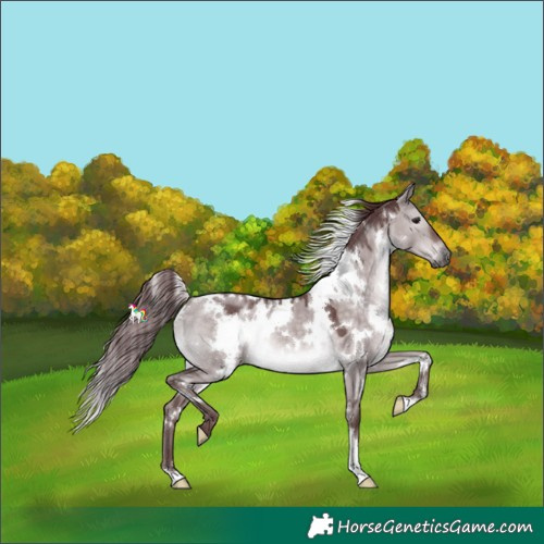 Horse Color:Platinum White Spotted Chocolate Brown Dun 