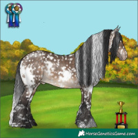 Horse Color:White Spotted Brown Dun Appaloosa Brindle