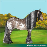 Horse Color:White Spotted Brown Dun Appaloosa Brindle 
