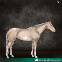Horse Color:Chocolate Palomino Pearl Tobiano Frame  and Chocolate Palomino Pearl Tobiano Frame 