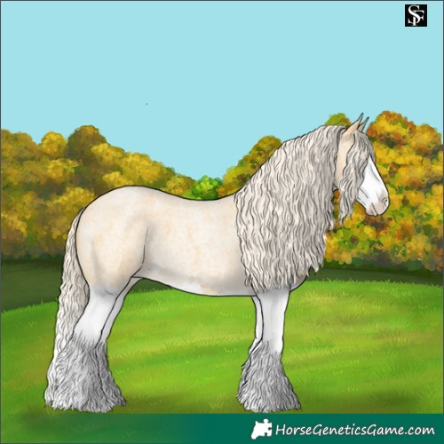Horse Color:Palomino Roan Splash 