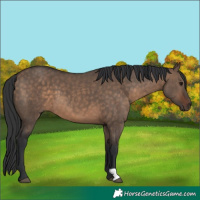 Horse Color:Brown Dun