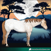 Horse Color:Red Dun Roan Blanket 
