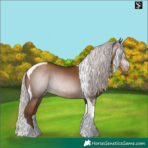 Horse Color:Gray Silver Black Pearl Tobiano