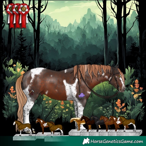 Horse Color:White Spotted Liver Chestnut Splash Tobiano Frame