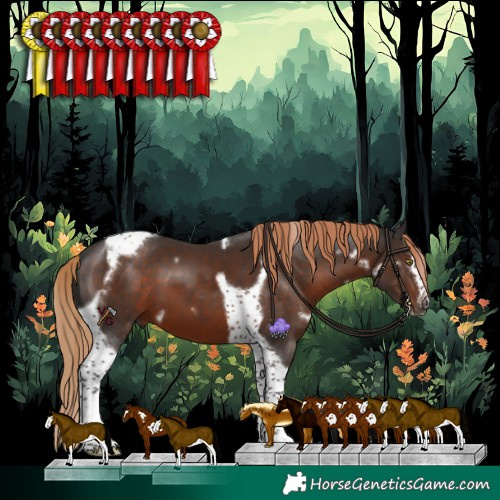 Horse Color:White Spotted Liver Chestnut Splash Tobiano Frame 