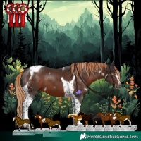 Horse Color:White Spotted Liver Chestnut Splash Tobiano Frame