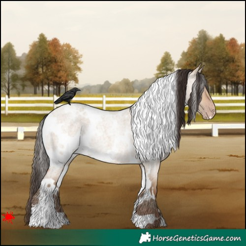 Horse Color:White Spotted Amber Champagne Roan Dun 