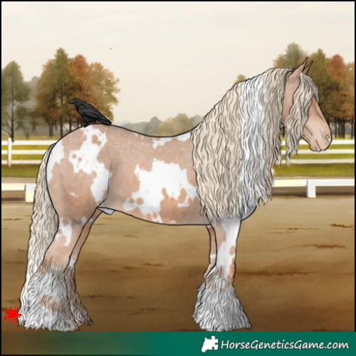 Horse Color:White Spotted Chestnut Varnish 