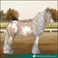 Horse Color:White Spotted Chestnut Varnish 