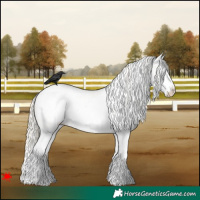 Horse Color:Palomino Roan Pearl Dun Splash Frame Near Leopard 