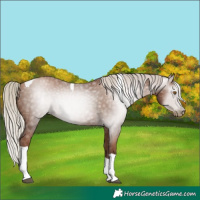 Horse Color:Gray Silver Black Pearl Tobiano 