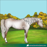 Horse Color:Gray Silver Black Pearl Tobiano