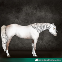 Horse Color:Gray Silver Black Pearl Tobiano