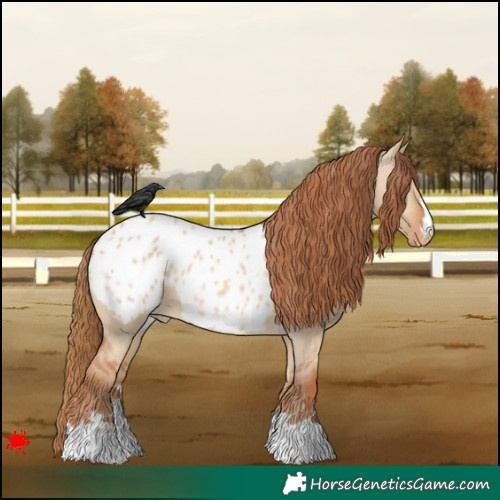 Horse Color:Red Dun Blanket 