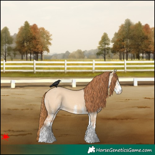 Horse Color:White Spotted Red Dun 