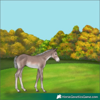 Horse Color:Platinum Chestnut Mushroom