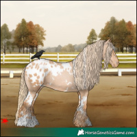 Horse Color:White Spotted Chestnut Pearl Varnish 