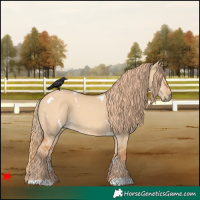 Horse Color:White Spotted Red Dun 