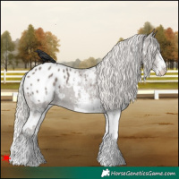 Horse Color:White Spotted Silver Black Blanket 