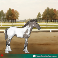 Horse Color:White Spotted Grullo Near Fewspot