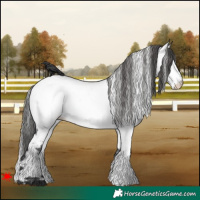 Horse Color:White Spotted Black Near Fewspot 