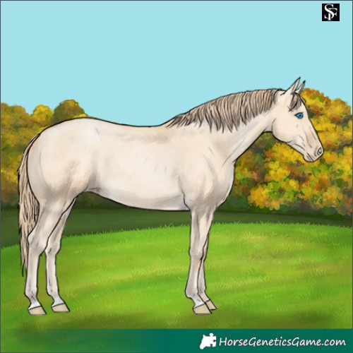 Horse Color:Smoky Grullo Pearl Merle 