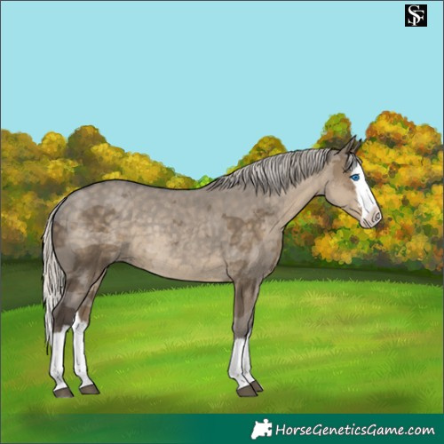 Horse Color:Silver Smoky Grullo Merle Splash Rabicano 