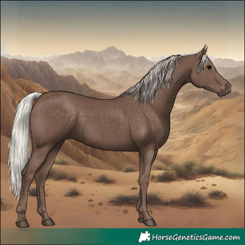 Horse Color:Silver Black 