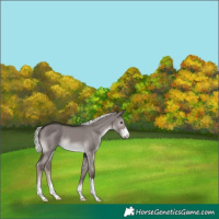 Horse Color:Platinum Liver Red Dun Mushroom