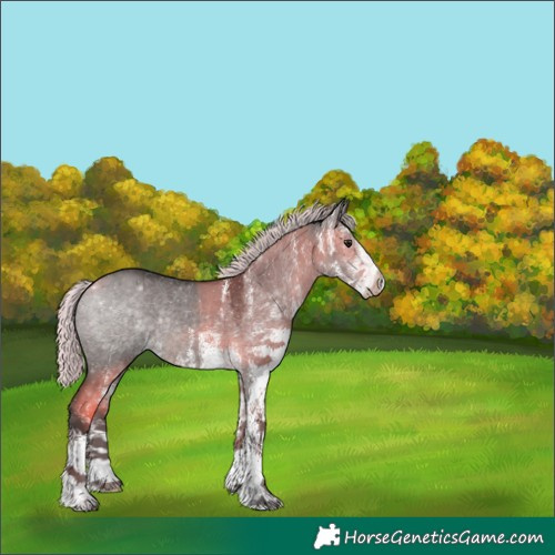 Horse Color:Platinum White Spotted Silver Brown Dun Rabicano 