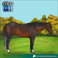 Horse Color:Brown 