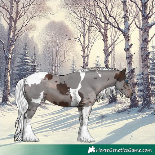 Horse Color:Silver Brown Merle Tobiano