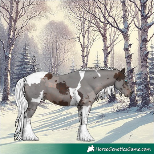 Horse Color:Silver Brown Merle Tobiano 