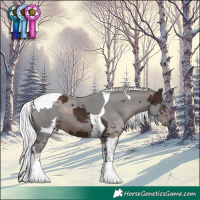 Horse Color:Silver Brown Merle Tobiano