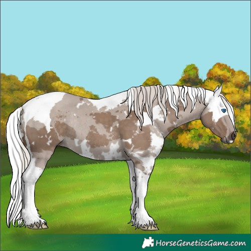 Horse Color:White Spotted Silver Grullo Merle Tobiano Rabicano 