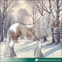 Horse Color:White Spotted Silver Grullo Merle Tobiano Rabicano