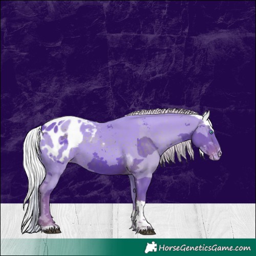 Horse Color:Watercolor Silver Black Merle Tobiano Appaloosa 