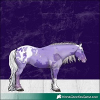 Horse Color:Watercolor Silver Black Merle Tobiano Blanket 