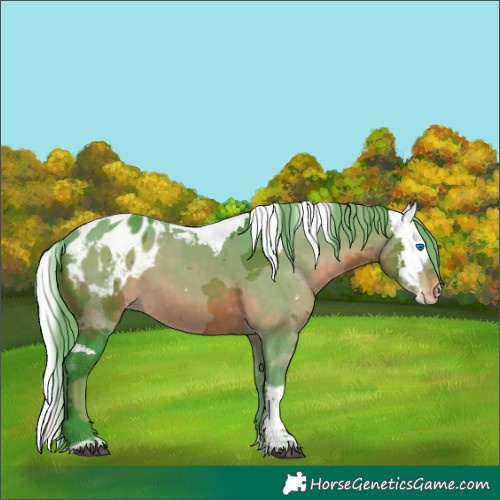 Horse Color:Watercolor Brown Merle Tobiano Blanket 